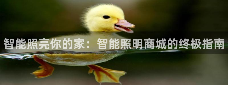 云顶集团董事长林东简历介绍