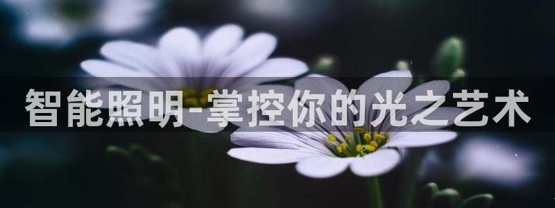 云顶国际俱乐部 淮北
