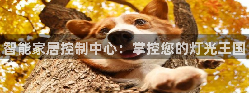 云顶国际教育