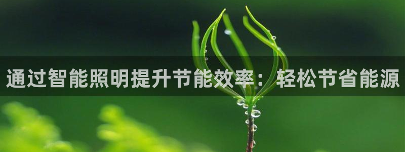 云顶国际旅行社怎么样