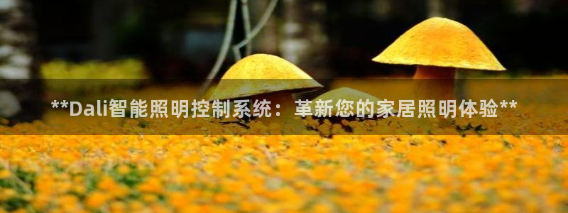 云顶国际商业广场怎么样