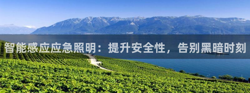 云顶国际物流