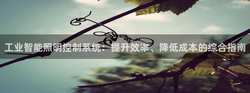 云顶国际二手房出售价格