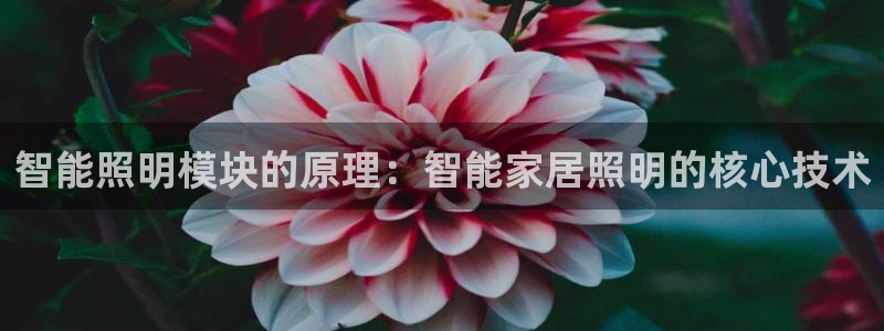 云顶国际集团官网