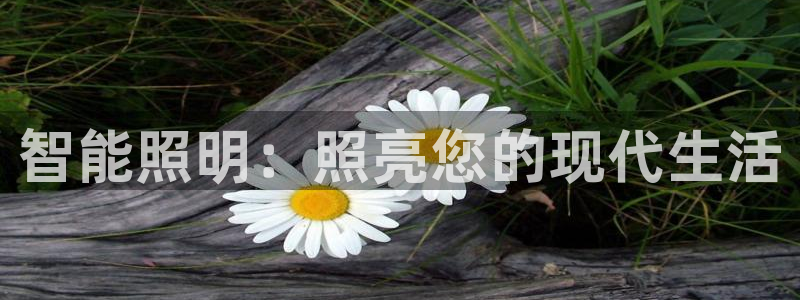 云顶国际服什么时候更新s90