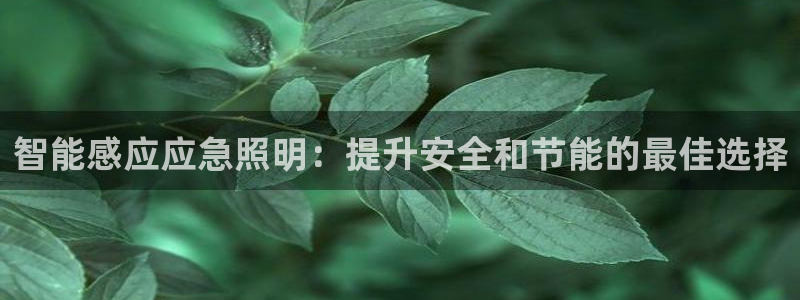云顶国际晟荣协会高峰