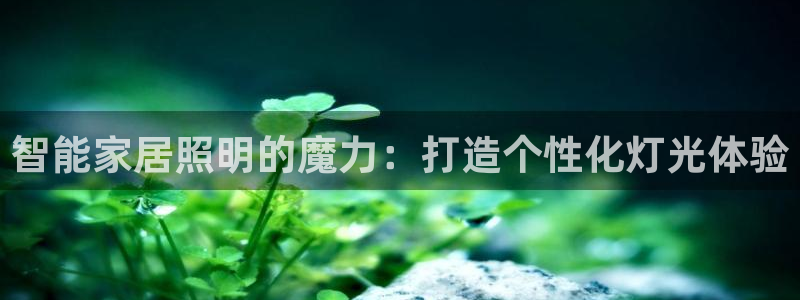 云顶国际商业广场a座101室