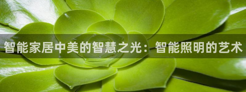 云顶国际取款多久到账啊