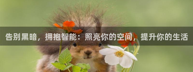 云顶国际官网登录