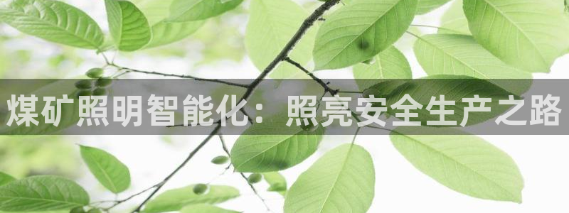 云顶国际城手机网址是多少