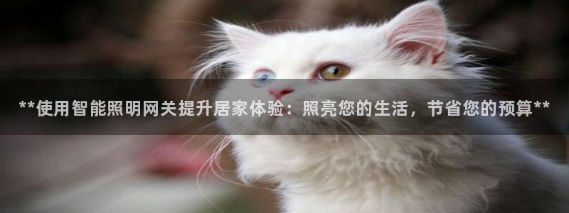 云顶国际注册存款