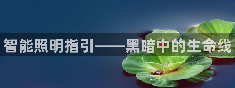 云顶国际游戏网址