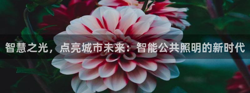 云顶国际提现失败怎么办
