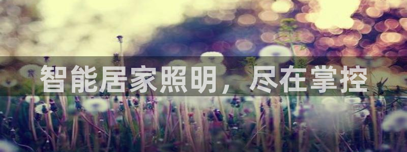 云顶集团简介资料