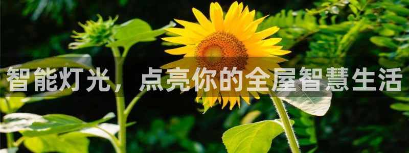 云顶国际商业广场商户