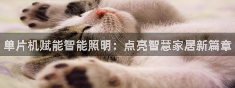 云顶手游国际服账号