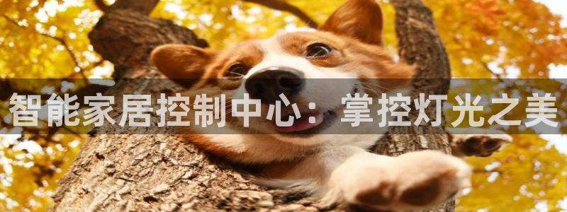 云顶国际俱乐部 淮北