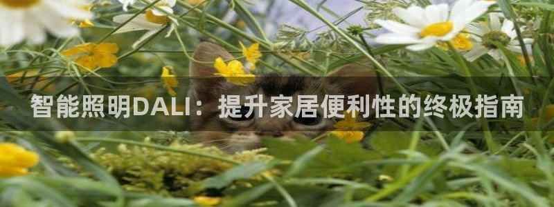 云顶集团官网电话是多少