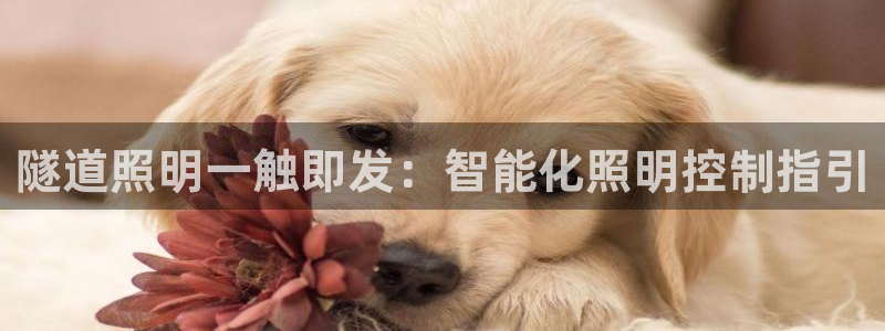 云顶国际app官方下载安装