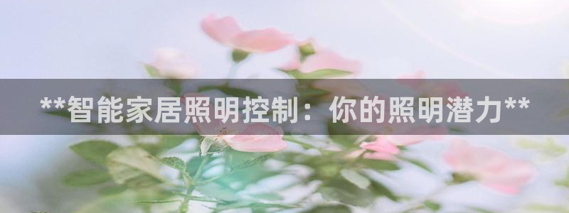 云顶国际KTV