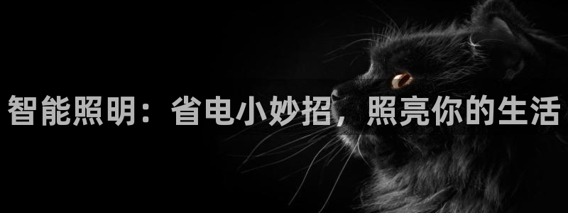 云顶集团游戏app