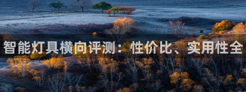 云顶国际提现不到账怎么办