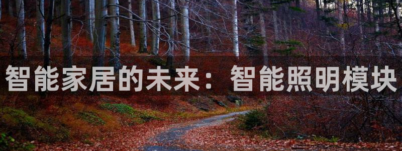 云顶集团3118官网下载