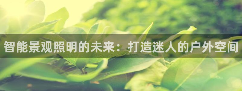 云顶国际提现多久到账户