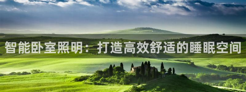 云顶集团3118app功能