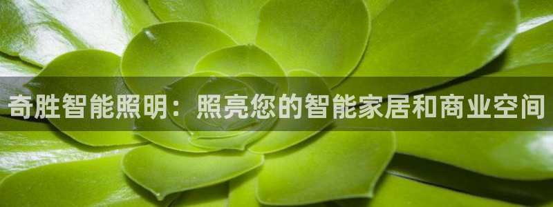 云顶国际服没有改名卡