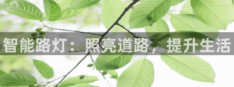 云顶集团进入官网首页