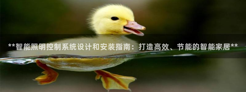 官方云顶国际网站下载