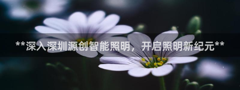 云顶国际服S9什么时候更新