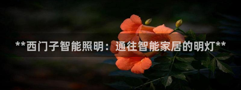 云顶国际黑网不出款怎么办