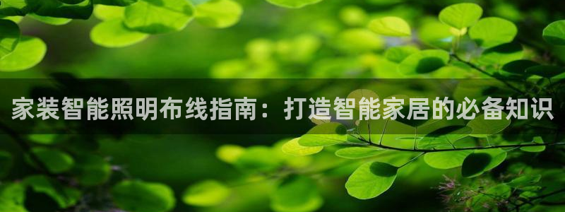 云顶国际网站