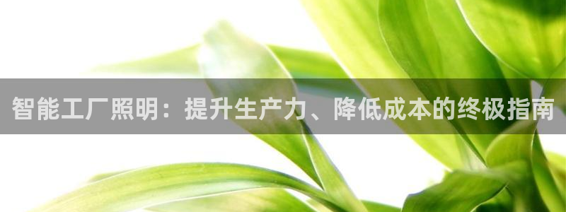 云顶小学国际班学费