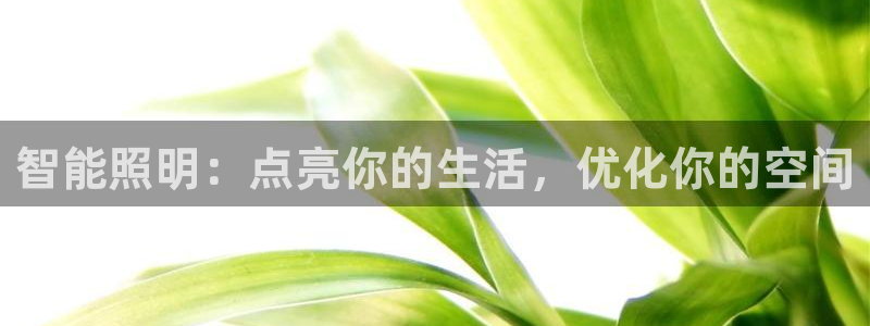 云顶国际广场物业电话