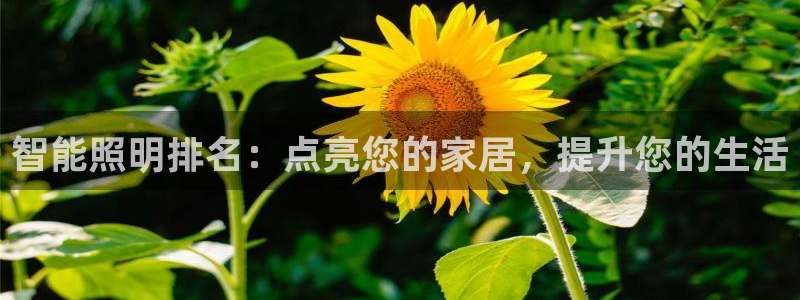云顶线路快速检测中心