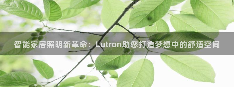 云顶集团公司简介图片