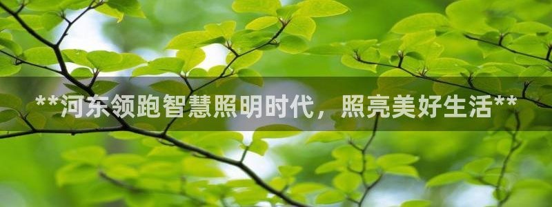 云顶国际调酒培训怎么样