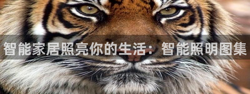 云顶集团游戏入口