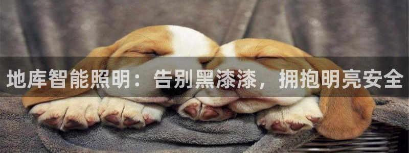 云顶国际存款