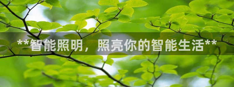 云顶集团董事长林东简历照片