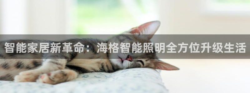 云顶国际官方网站下载安装