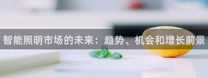 云顶国际房地产有限公司