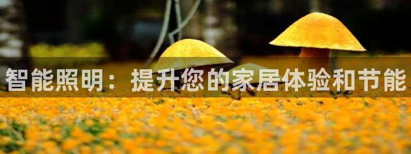 成山路800号(云顶国际商业广场a座101)电话
