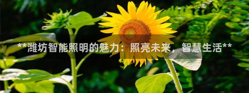 云顶国际下载安装