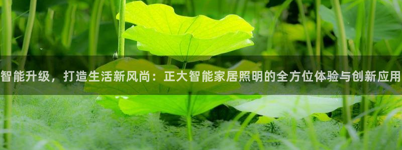 云顶集团董事长是谁