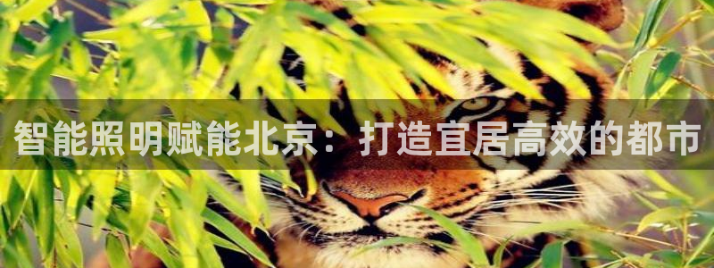 云顶国际yd333
