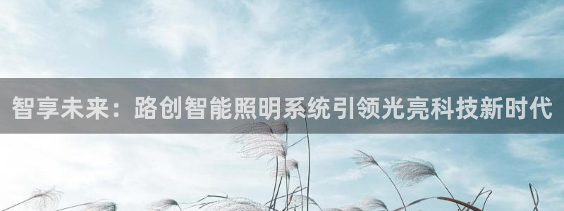 云顶国际连接